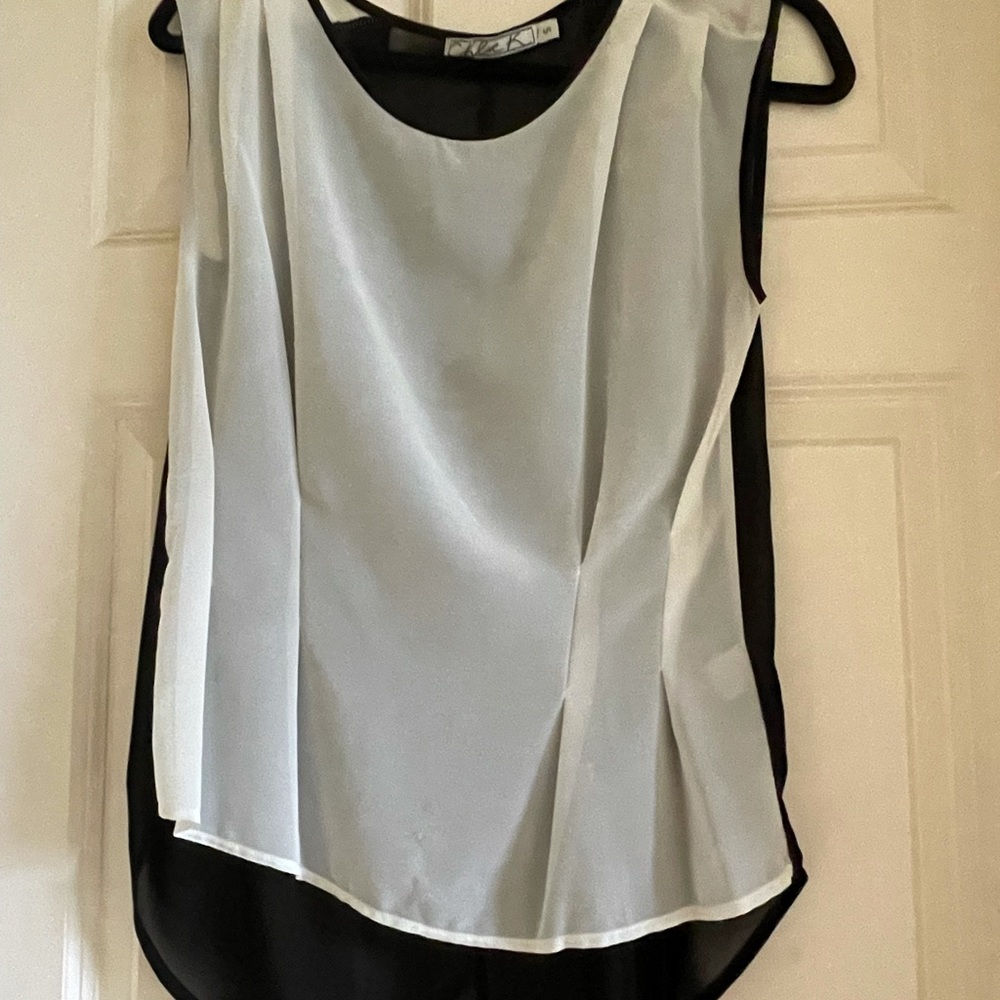 Chloe K sheer blouse